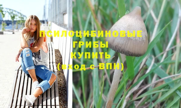 гидропоника Богданович