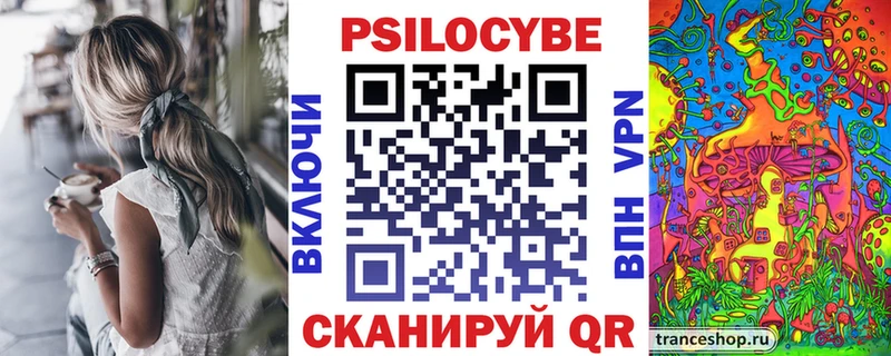 площадка формула  Южно-Сухокумск  Псилоцибиновые грибы мицелий 