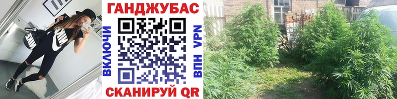 мориарти Telegram  Южно-Сухокумск  Бошки марихуана гибрид  наркошоп 